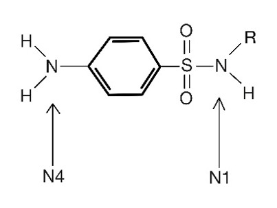 Sulfonamide antibiotic structure, with N1 and N4 marked
